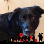 Cameron Bibby - Facebook