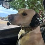 Cameron Blair - @cameron_blair1 - Instagram