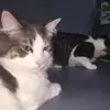 cam.bosch - @cam.bosch - TikTok