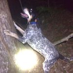 Cameron Boswell - @cameron.boswell.1998 - Instagram