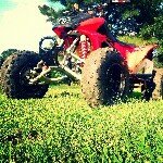 Cameron Boswell - @__hondaonly - Instagram