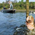 Cameron Bowles - @cameronfishing - Instagram