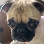 Cameron Bowser - Facebook