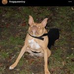 Cameron Boyer - @cam.__.86 - Instagram