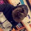Cameron Boyington - @cameron.boyington - TikTok