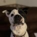 Cameron Bridges - Facebook