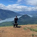 Cameron Briscoe - @brisk91 - Instagram