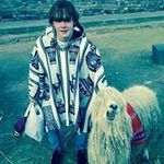 Cameron Brock - @cameron.brock100 - Instagram