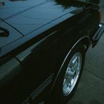 Cameron Browning - @cameronbrowning99 - Instagram