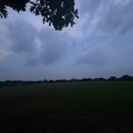 Cameron Browning - @cameron.browning36 - Instagram
