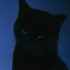 Cameron Bryce - @cameron.bryce7 - TikTok