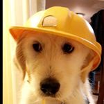 Cameron_Burchett22 - @jackpupcutie2 - Instagram