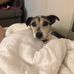 Cameron Burley - Facebook