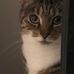 Cameron Burns - Facebook