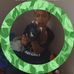 Cameron Burwell - Facebook