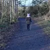 cameronbushell630 - @cameronbushell630 - TikTok