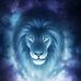 Cameron Bushnell - Facebook