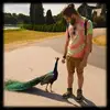 Cameron Cairns - @cameroncairns89 - TikTok