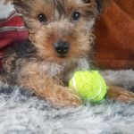 Cameron Cairns - @cameron.cairns.9889 - Instagram
