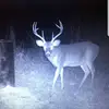 Cameron Calhoun - @cameron.calhoun1 - TikTok