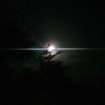 Cameron Cantwell - @thecameron09 - Instagram