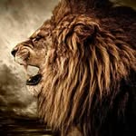 cameroncapell - @cameroncapell6378 - Instagram