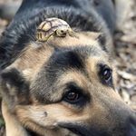 Cameron Carbone - @carboner1020 - Instagram