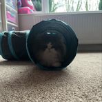 Cameron Cartledge - Facebook