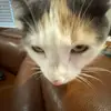 Cameron Cartwright - @cameron.cartwrigh54 - TikTok