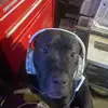 Cameron cartwright - @cameron.cartwrigh - TikTok