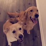 Cameron casler - @cameron3301 - Instagram