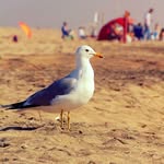 Cameron Casler - @photos_everything_88 - Instagram