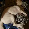 caspercameron - @caspercameron - TikTok