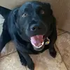 Cameron Castañeda - @cam.castaneda_ - TikTok