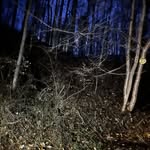 Cameron Castle - @locked.up.in.my.castle - Instagram