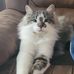 Cameron Caswell - Facebook