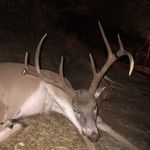 Cameron Caudle - @kingcountywhitetails - Instagram