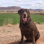 Cameron Caver - @cameron__caver - Instagram