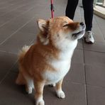 Cameron Chang - Facebook