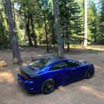 Cameron Chavez - @cameron_savage - Instagram