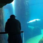 Cameron Chavez - @cam_chavez13 - Instagram