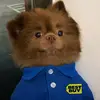 cameronclaimscheeks - @cameronclaimscheeks - TikTok