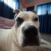 Camryn Chestnut - Facebook
