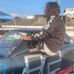 Cameron Choate Racing - Facebook