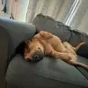 Cameron Churchman - @cameron.churchman - TikTok