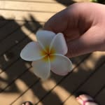 Cameron - @cameronclausstenshoel - Instagram