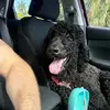 Cameron clausen - @cameron.clausen10 - TikTok