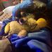 Cameron Clemmer - Facebook