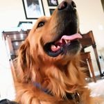 Cameron Clifford - @cameron_clifford08 - Instagram