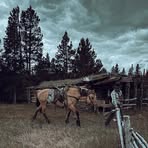 Cameron Coates - Facebook
